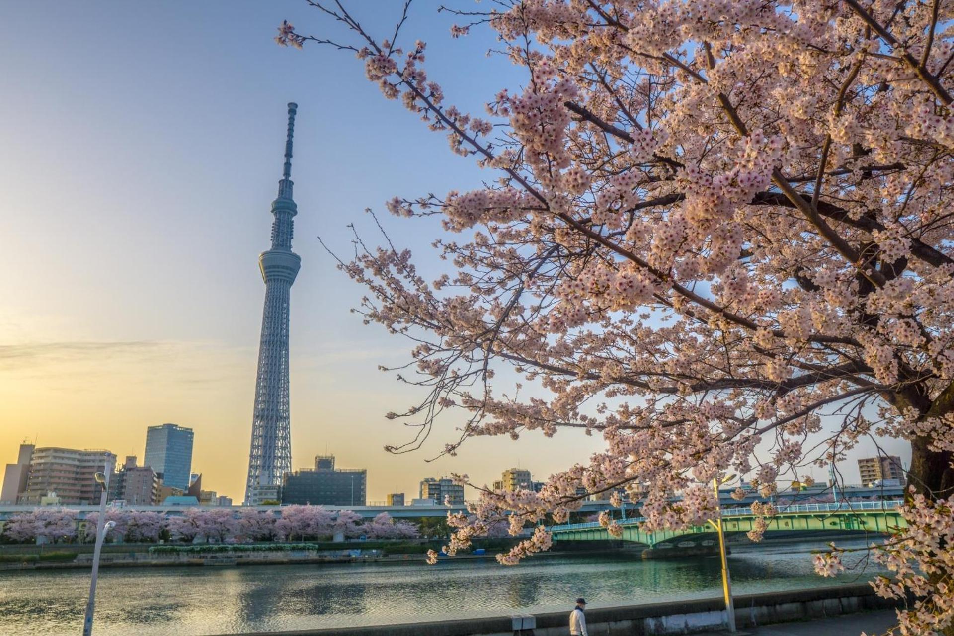 Stayme The Hotel Asakusa Riverside Τόκιο Εξωτερικό φωτογραφία