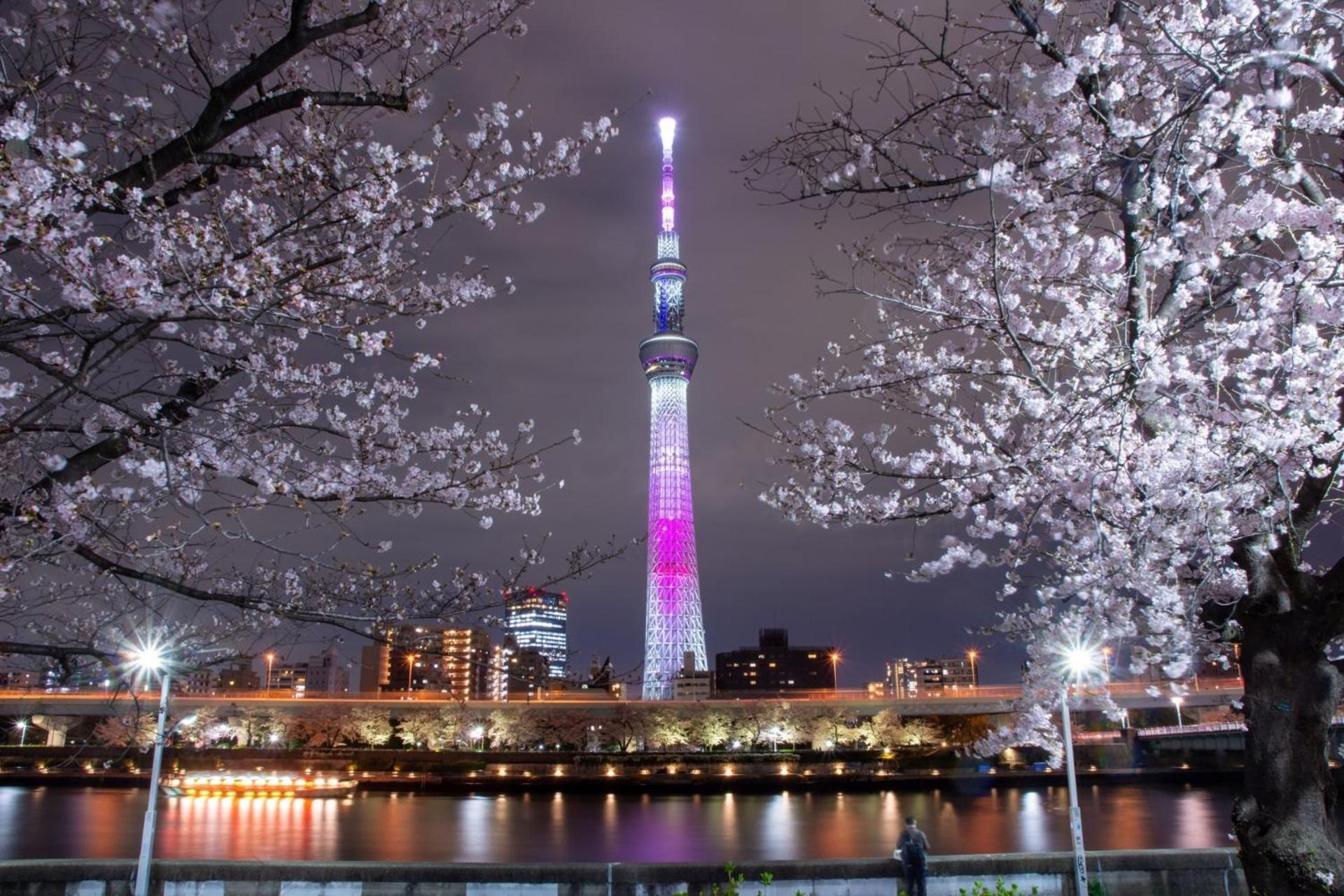 Stayme The Hotel Asakusa Riverside Τόκιο Εξωτερικό φωτογραφία
